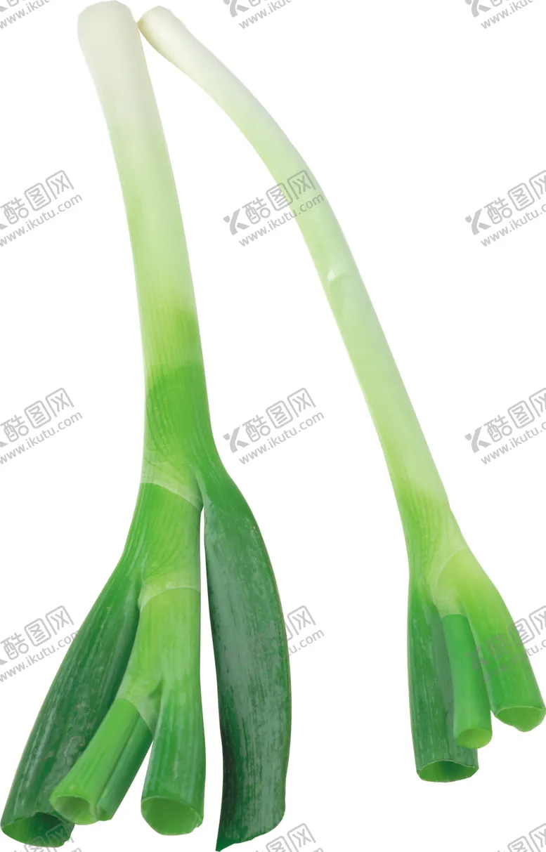 编号：34383104180633116072【酷图网】源文件下载-大葱