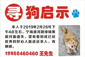寻狗启示海报
