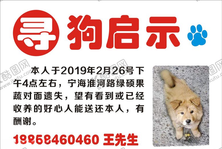 编号：62989505180143537792【酷图网】源文件下载-寻狗启示海报