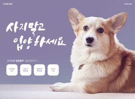 欢迎小狗计划海报