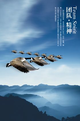 团队精神企业文化标语海报素材