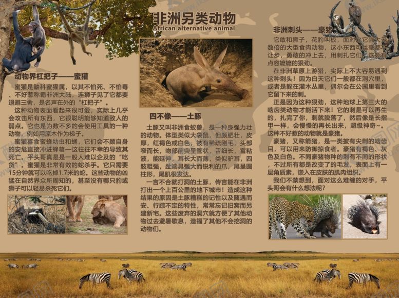 编号：14483710022106297349【酷图网】源文件下载-非洲另类动物