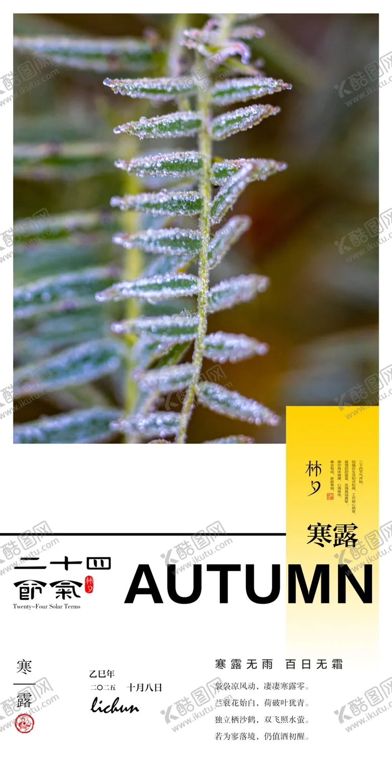 编号：52260702270802483807【酷图网】源文件下载-二十四节气寒露