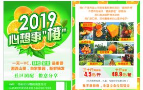 脐橙宣传单