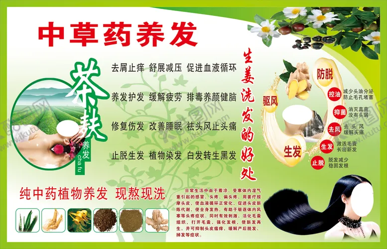 编号：68285211211542509752【酷图网】源文件下载-茶麸养发