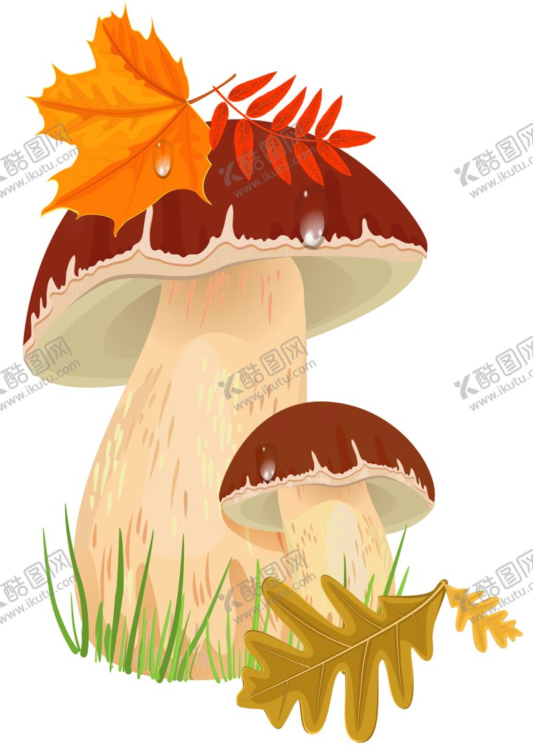编号：52587507010240555193【酷图网】源文件下载-卡通蘑菇