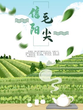 信阳毛尖