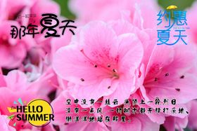 约惠夏天促销活动宣传海报素材