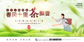 茶叶采摘