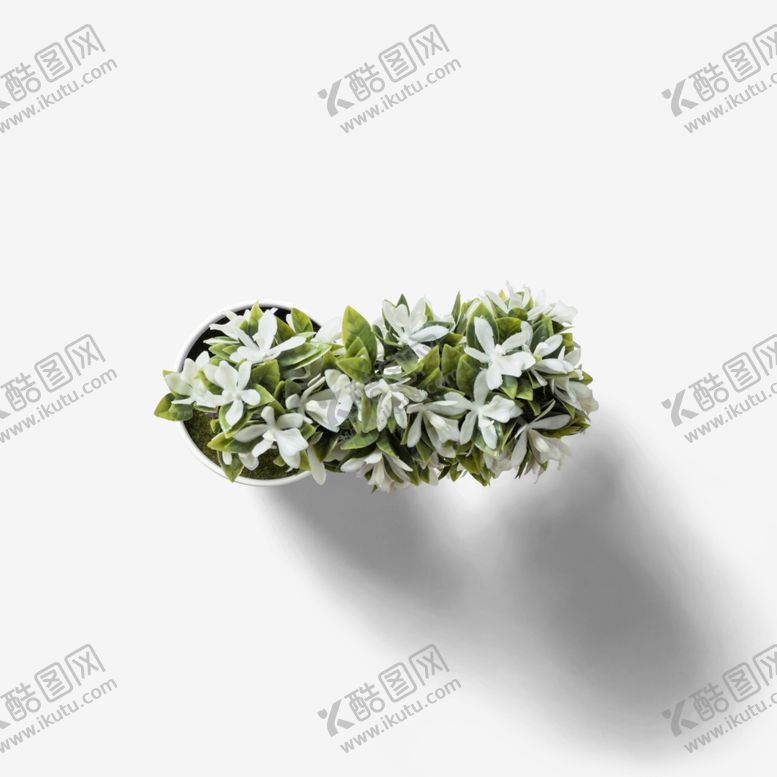 编号：81613002201500078166【酷图网】源文件下载-植物
