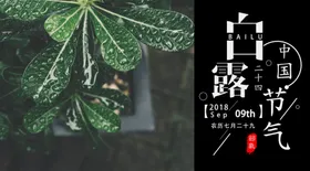 白露海报样板房热带雨林设计