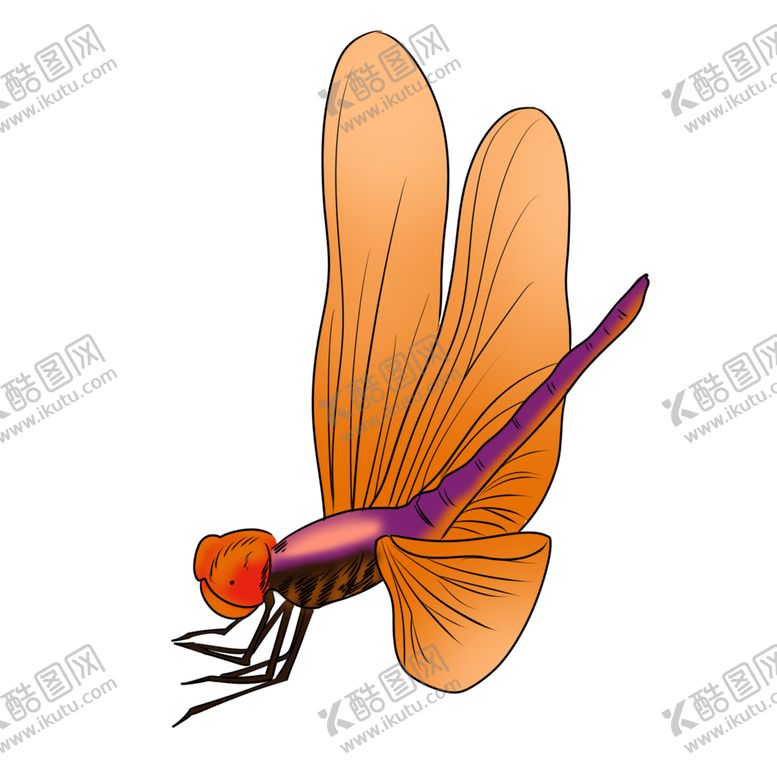 编号：40955111011016207233【酷图网】源文件下载-蜻蜓