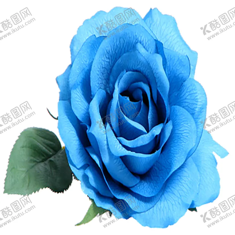 编号：58484509111045284640【酷图网】源文件下载-手绘植物花卉