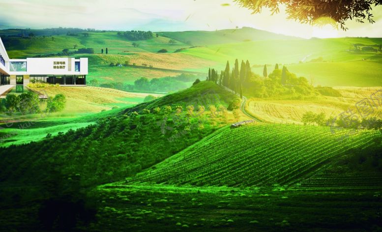 编号：92162309232144218346【酷图网】源文件下载-种植园桃园五指毛桃产业基