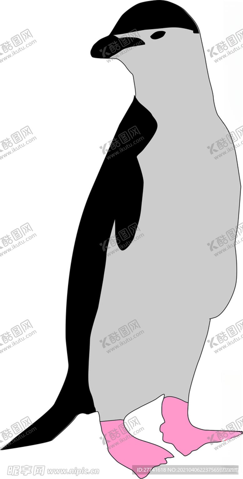 编号：79347303221850257385【酷图网】源文件下载-企鹅