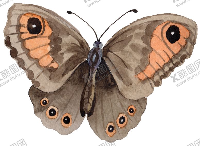 编号：33373610301843452706【酷图网】源文件下载-手绘彩蝶