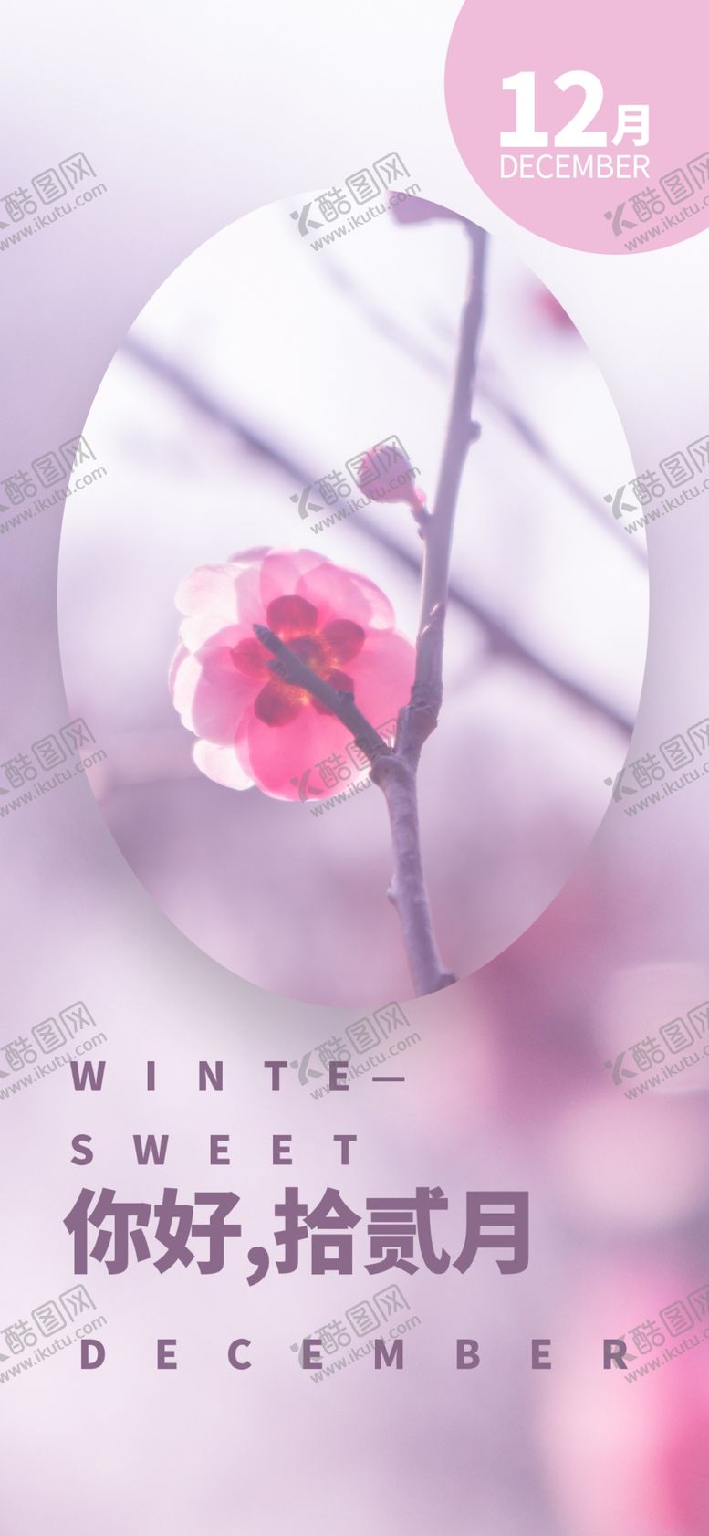编号：76535410092253166020【酷图网】源文件下载-你好12月