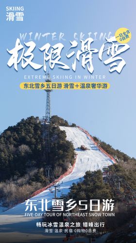 极限滑雪冬季促销活动海报素材