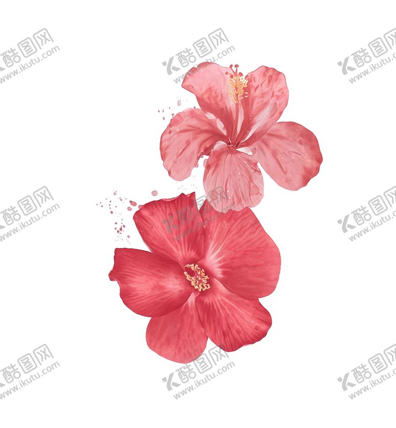 编号：85536202280302596660【酷图网】源文件下载-水彩花