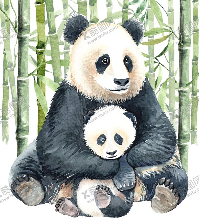 编号：16660110171958581079【酷图网】源文件下载-熊猫和竹林