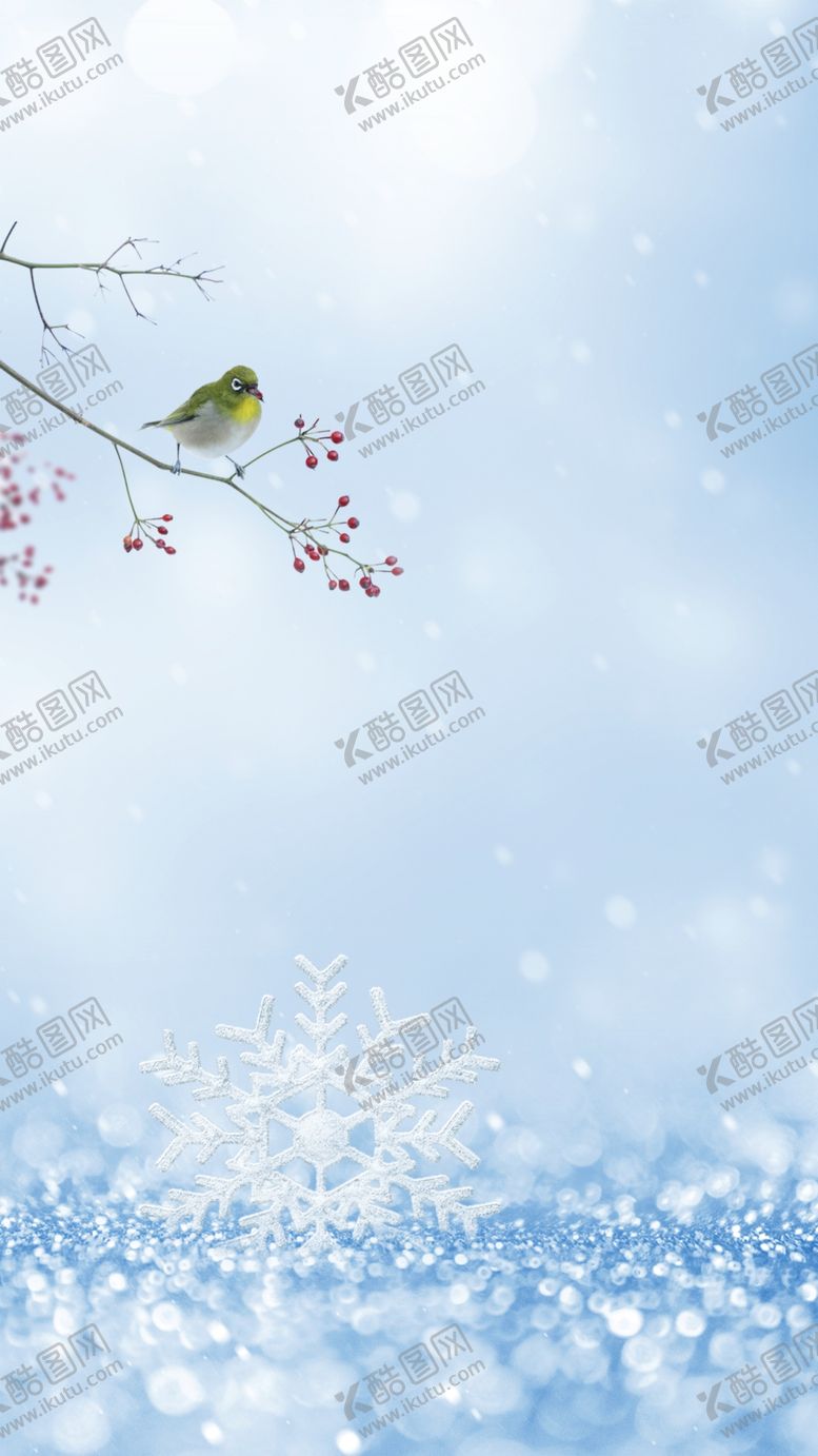 编号：53081401170335402690【酷图网】源文件下载-冬天背景