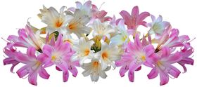 鲜花