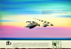 五彩天空鸟飞宣传海报