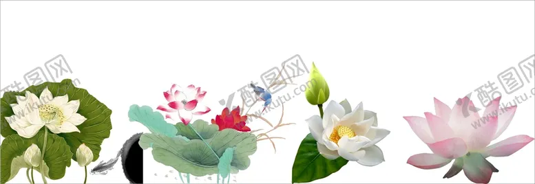 编号：77467901131530598379【酷图网】源文件下载-荷花