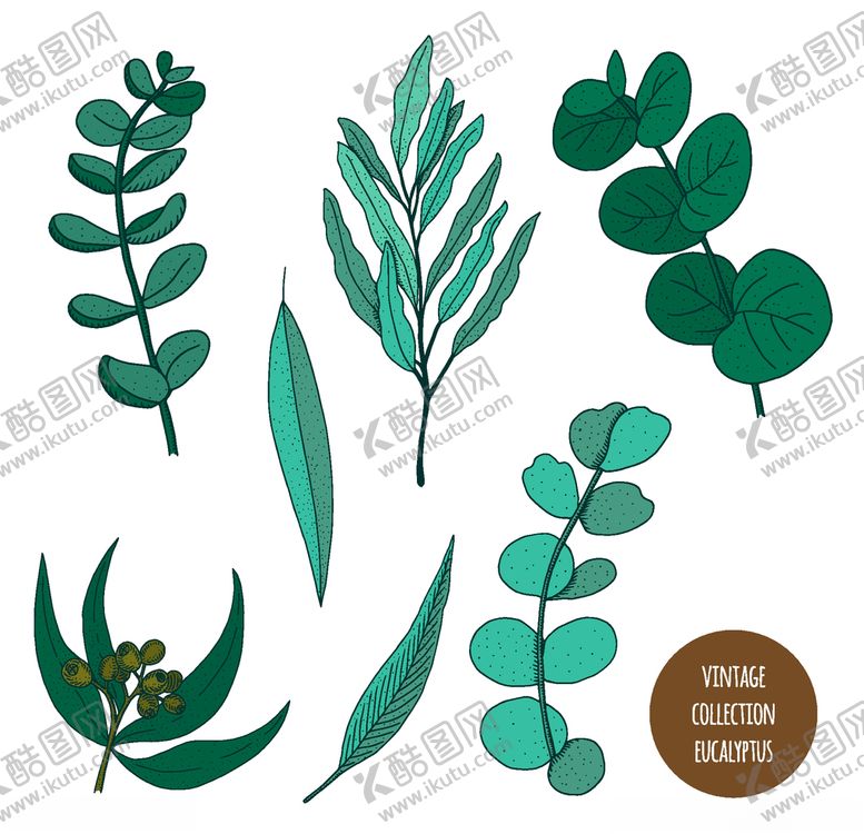 编号：48681806281523264575【酷图网】源文件下载-植物线稿