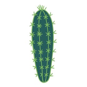 小清新仙人掌绘画图案