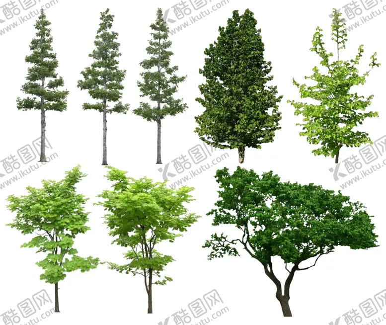 编号：11211101231944393426【酷图网】源文件下载-花草植物