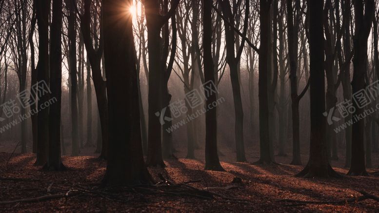 编号：96559609282319239520【酷图网】源文件下载-电脑精美壁纸