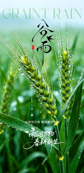 创意海报24节气谷雨海报