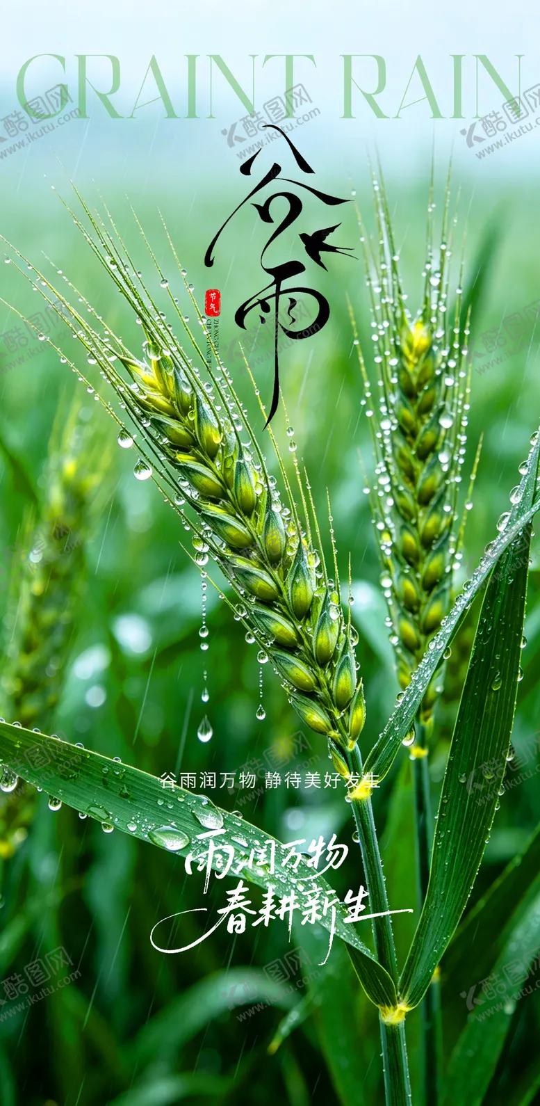 编号：68590404170202516887【酷图网】源文件下载-创意海报24节气谷雨海报