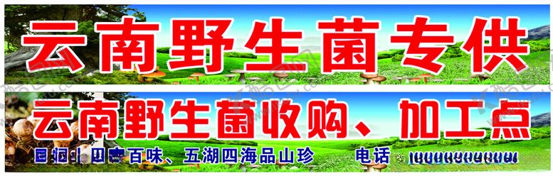 编号：63549601241049264024【酷图网】源文件下载-野生菌