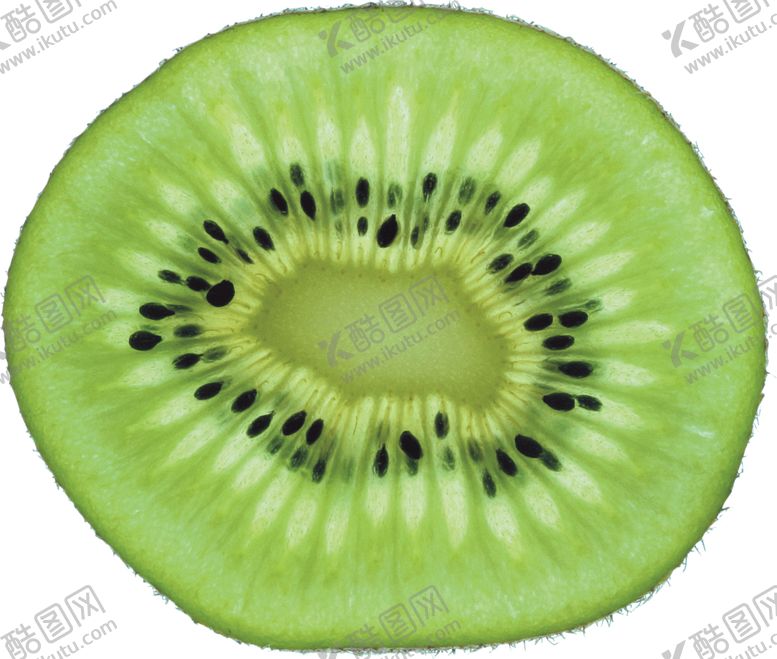 编号：76300509202046572725【酷图网】源文件下载-猕猴桃
