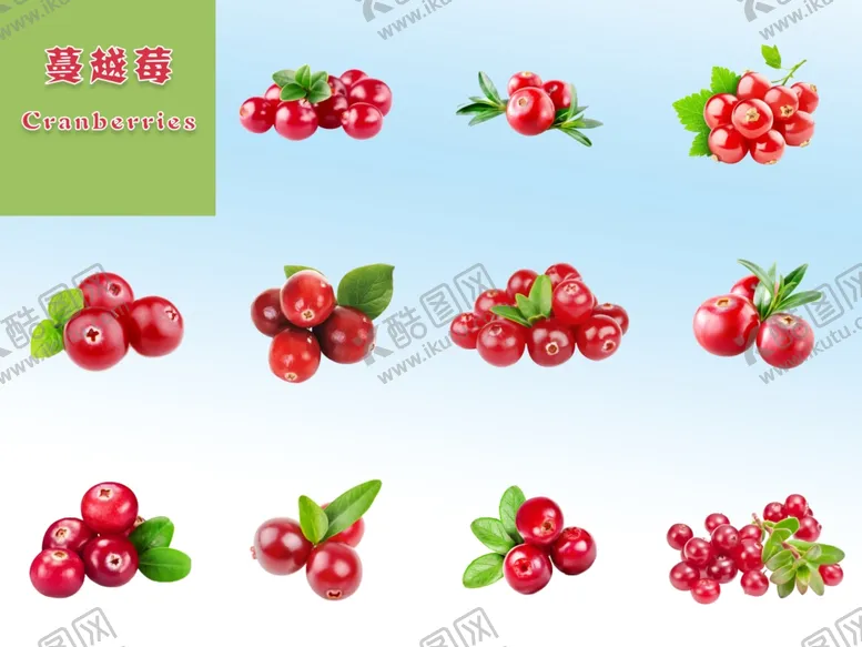编号：67485606291619102823【酷图网】源文件下载-蔓越莓