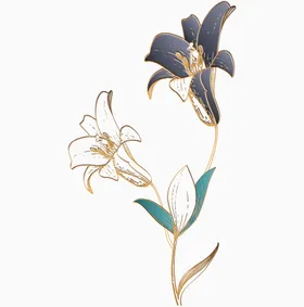 牡丹花卉元素工笔画分层国画