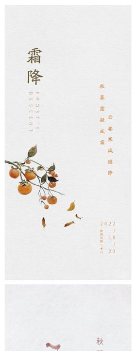 霜降二十四节气立冬小雪大雪冬至白色柿