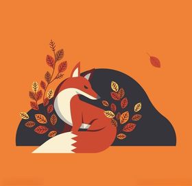 狐狸插画