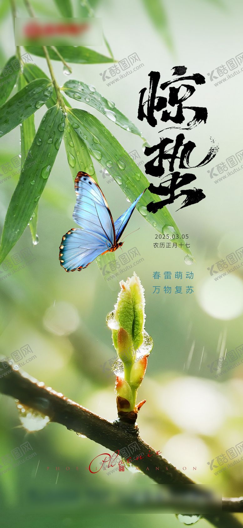 编号：75361103020206247003【酷图网】源文件下载-惊蛰海报