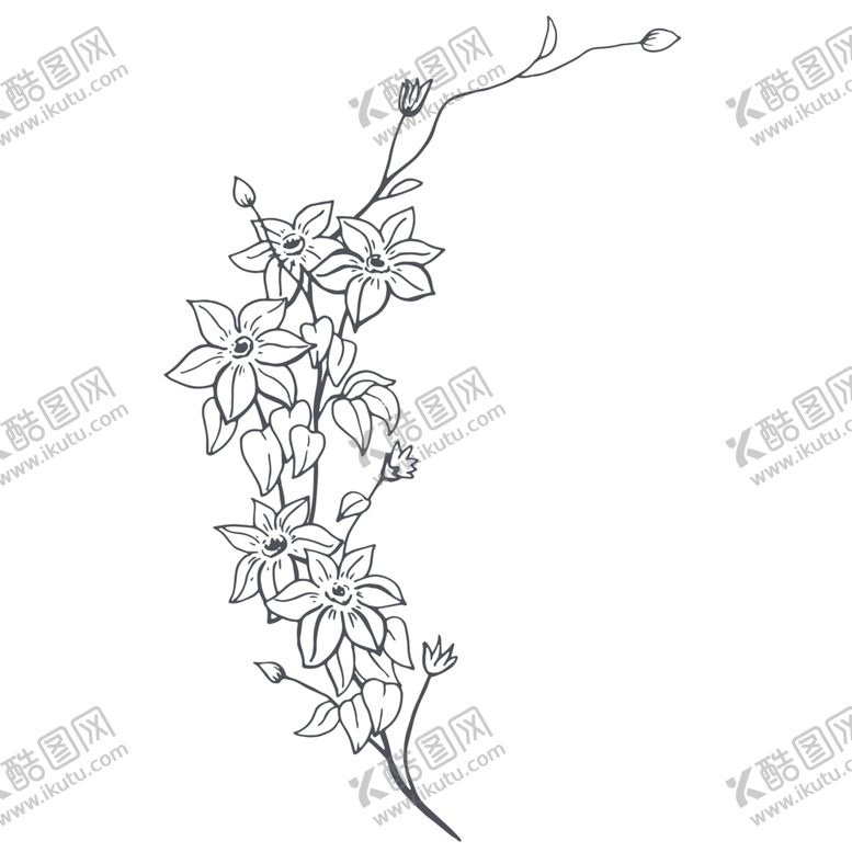 编号：41378109210320592606【酷图网】源文件下载-手绘植物