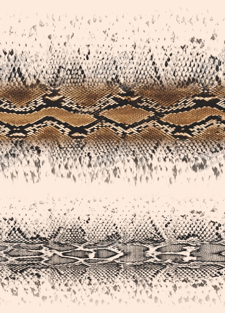 编号：95281809261514024317【酷图网】源文件下载-蛇皮