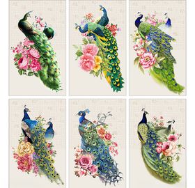 孔雀富贵花装饰画无框画