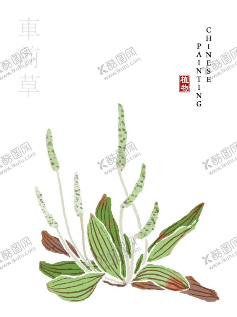 编号：62190409181141501495【酷图网】源文件下载-水彩花卉