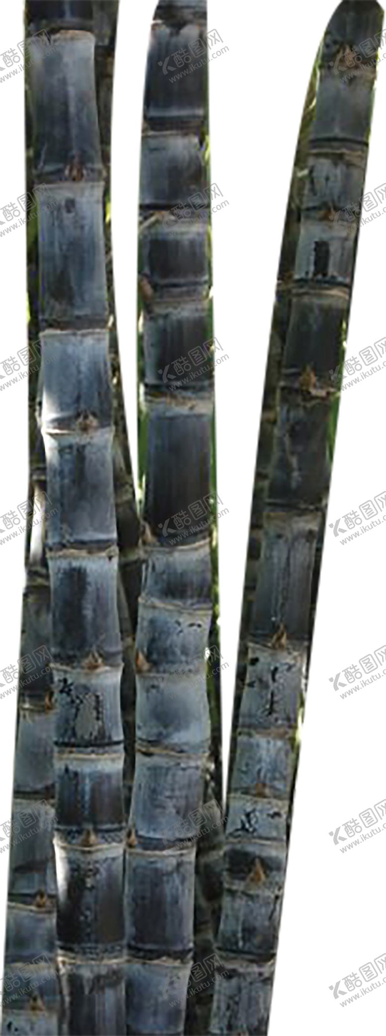 编号：62244310050004287973【酷图网】源文件下载-水果