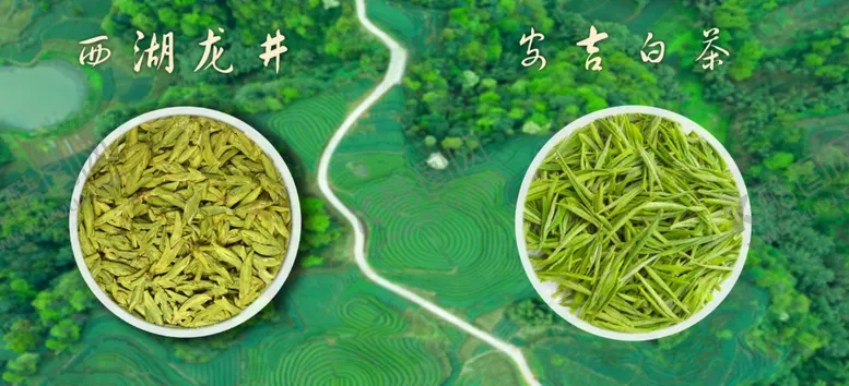 编号：74980010180641439882【酷图网】源文件下载-西湖龙井 安吉白茶