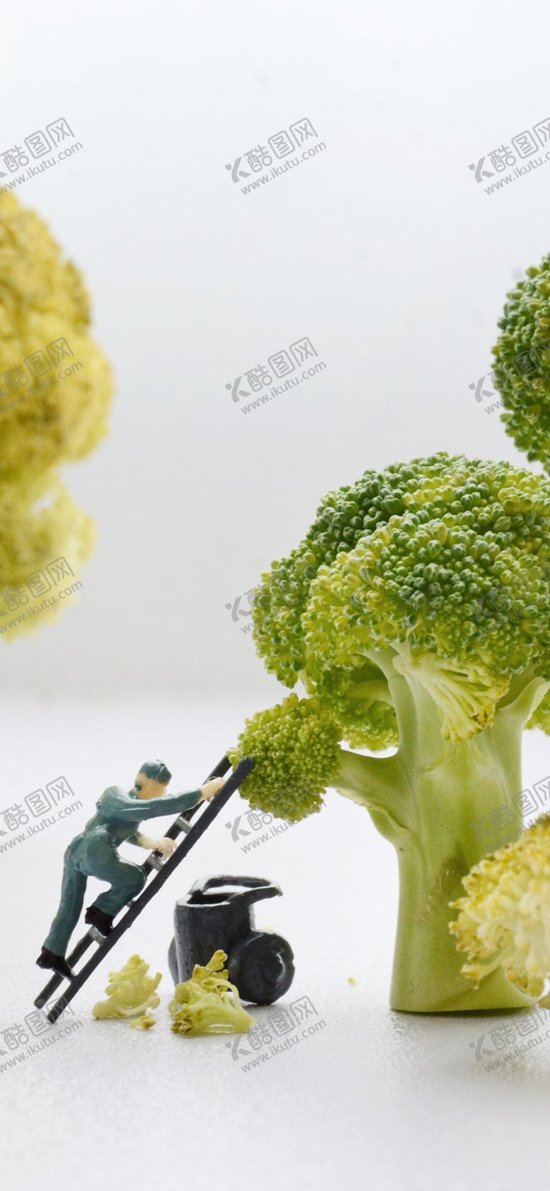 编号：23990310300938225774【酷图网】源文件下载-手机壁纸