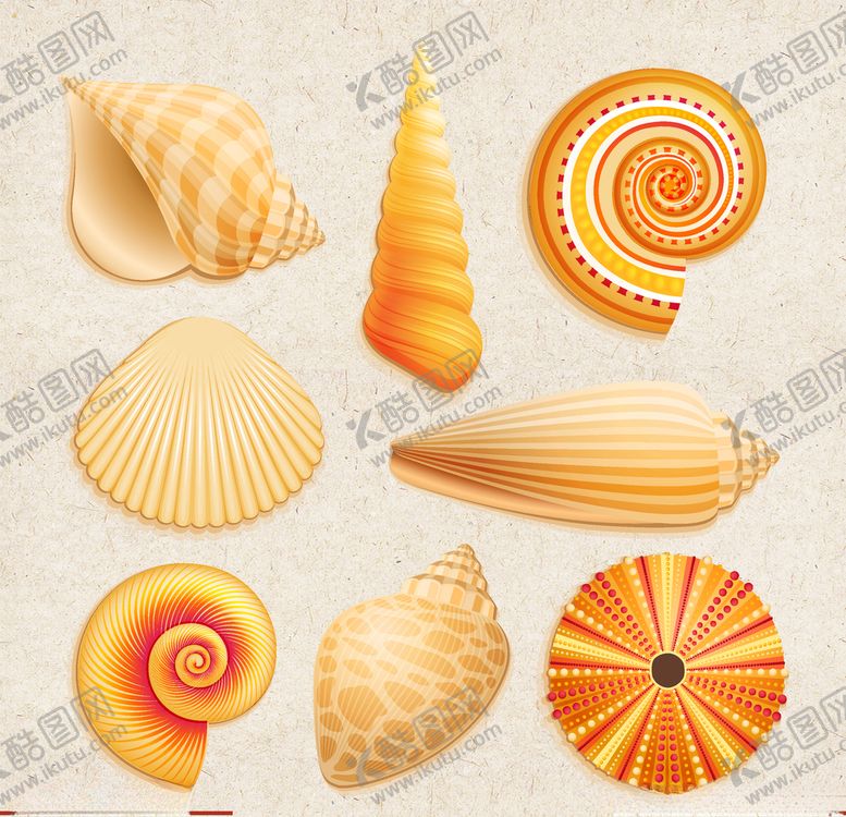 编号：47129810081434574705【酷图网】源文件下载-贝壳素材海螺海底贝壳海底