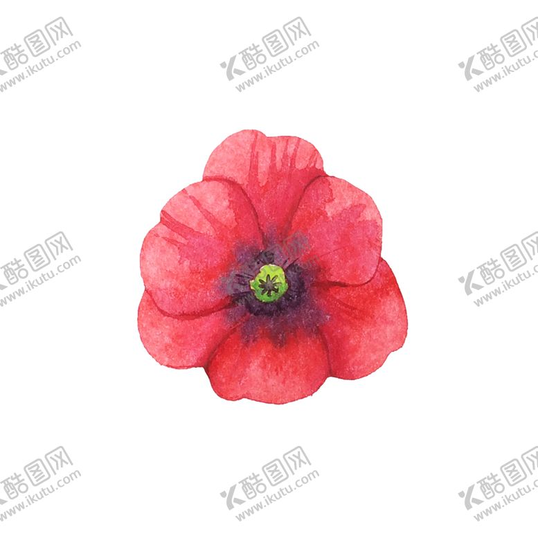 编号：43164606280534188088【酷图网】源文件下载-手绘植物